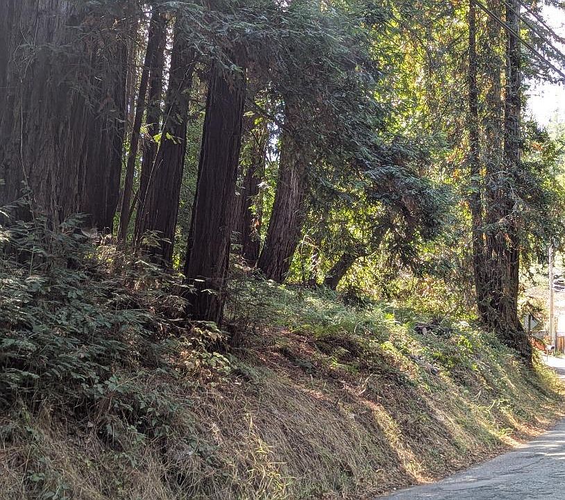 1st image of 8055 Glen Haven Rd