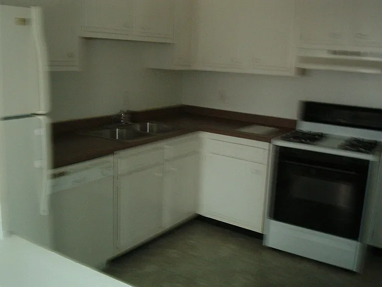 8464 Pineview Lake Ct — Photo 4