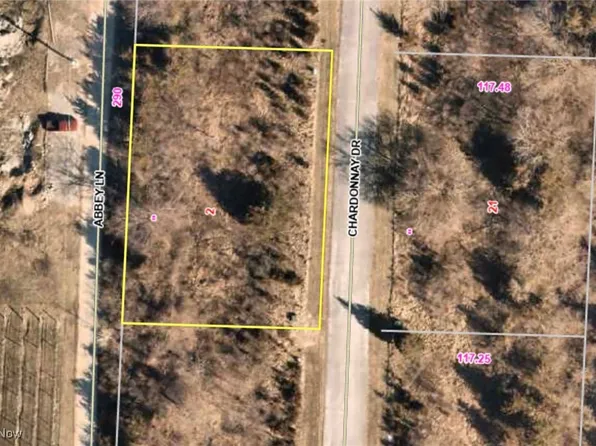 2 Chardonnay Dr, Kelleys Island, OH 43438
