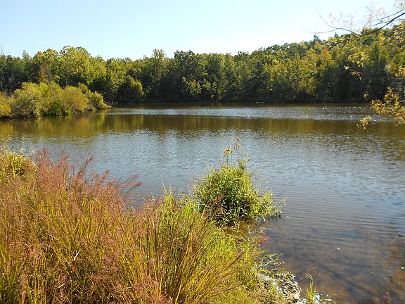 3 Acre +- Stocked Lake