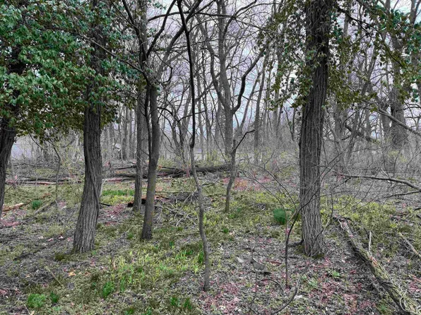 V L Adj 55625 Melrose Ave, South Bend, IN 46628