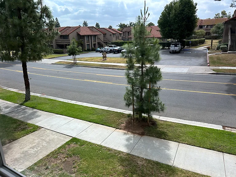 View from Family Room