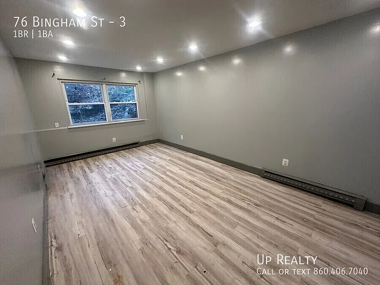 76 Bingham St #3 — Photo 3