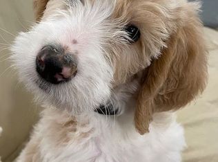 5745 Norwich Ave, Van Nuys, CA 91411