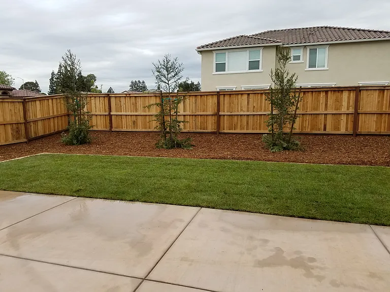 Joyce Dr — Photo 12