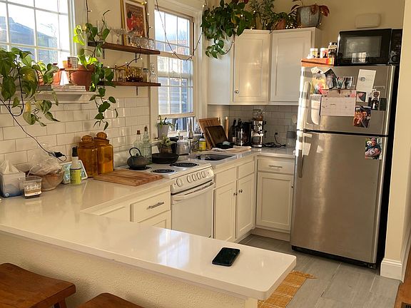 Kitchen and whole apartment is south facing for great natural light and plants.