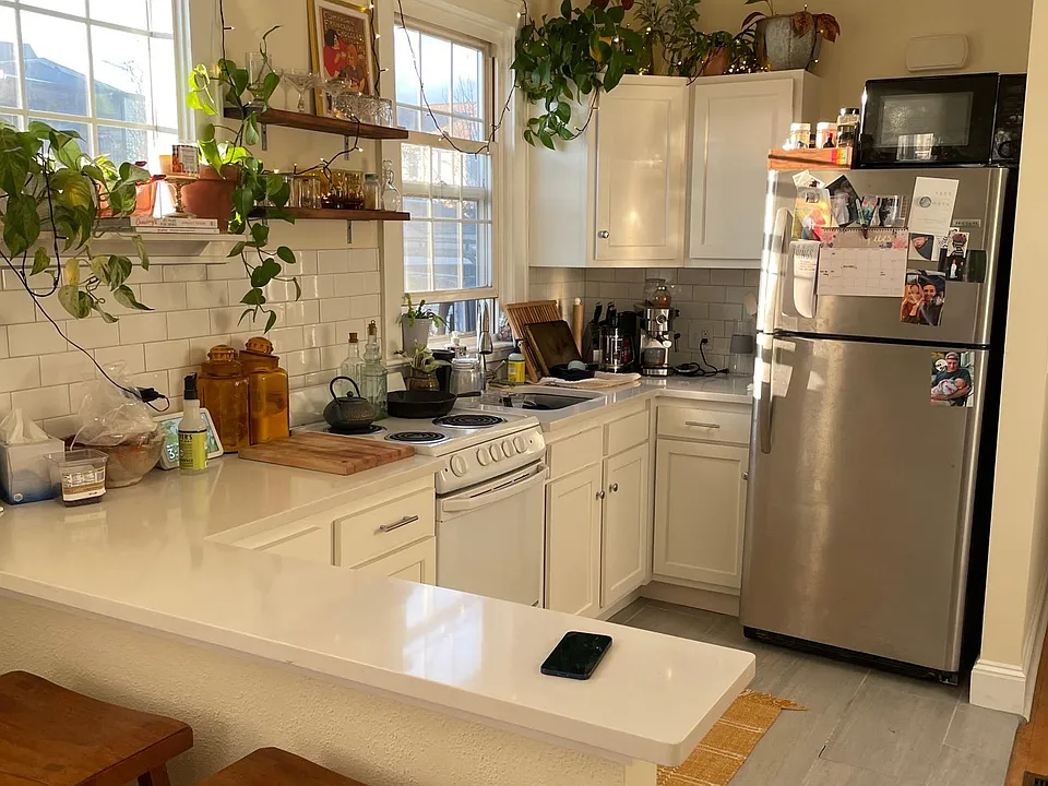 Kitchen and whole apartment is south facing for great natural light and plants.
