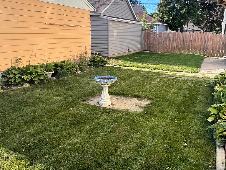 back yard