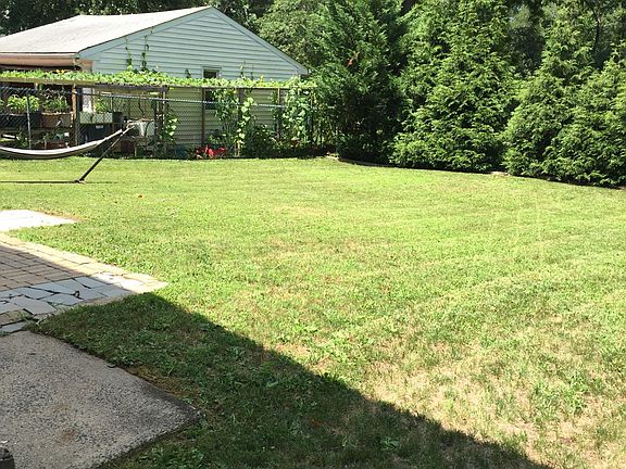 Shared use of spacious back yard