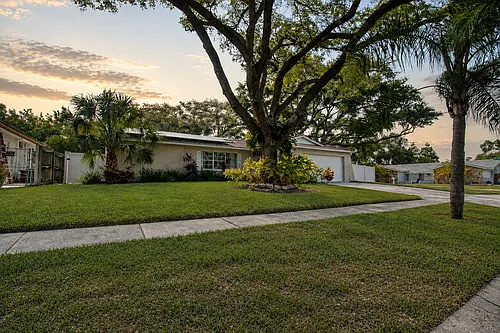 355 Laughing Gull Ln Photo 1 355 Laughing Gull Ln Photo 1
