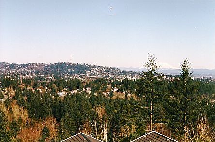 Mt. St. Helens From Living & Dining