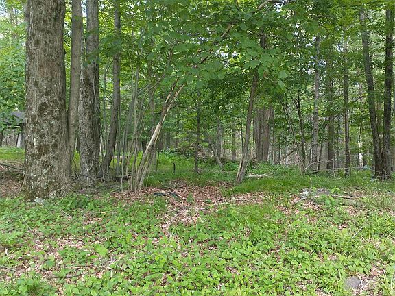 2nd image of Old Loomis Road