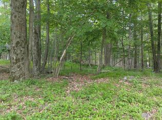 Old Loomis Road, Liberty, NY 12734