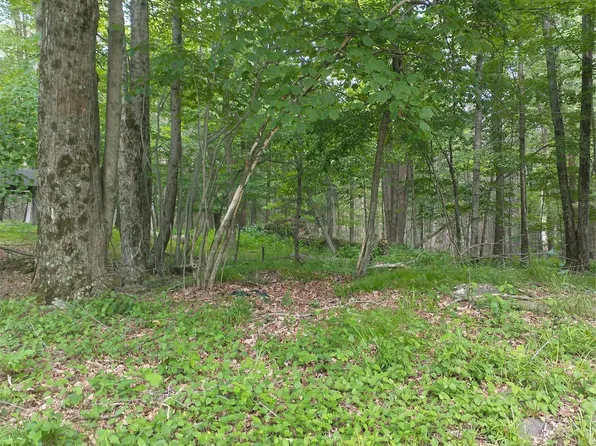 Old Loomis Road, Liberty, NY 12734