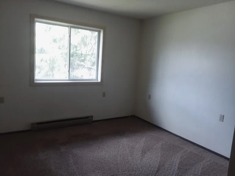 207 Cedar St NE — Photo 12