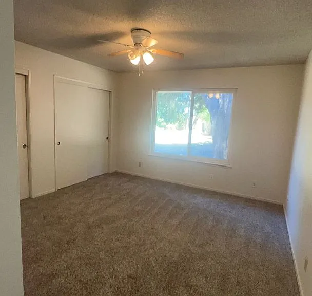 303 Diane Ct — Photo 3