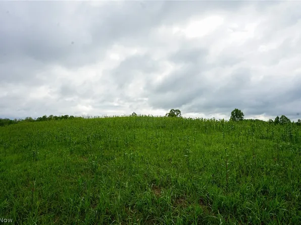 Van Fossen Ln, Chesterhill, OH 43728