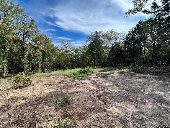 5th image of 13610 County Road 420 Lot 6