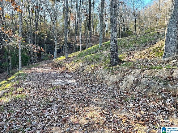 4th image of 52 County Road 4021 #2