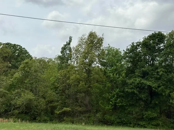 15 Walnut Street Ext, Dyer, TN 38330