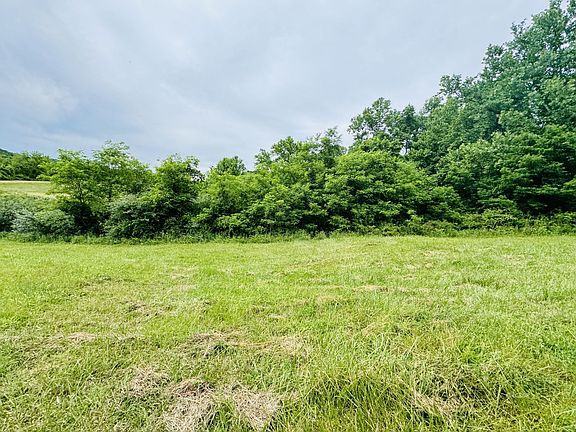 4th image of 37406 New Lima Rd #3