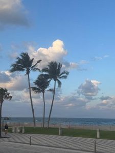 505 NE 20th Avenue NE #110, Deerfield Beach, FL, 33441