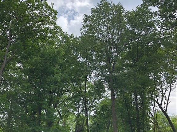 4th image of 11141 Preserve Blvd