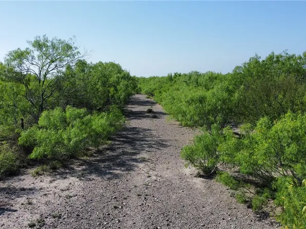 White Ave, Freer, TX 78357