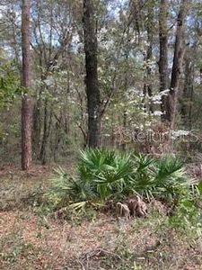 18507 SW 67th Ave, Archer, FL, 32618