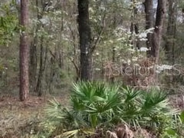 18507 SW 67th Ave, Archer, FL 32618