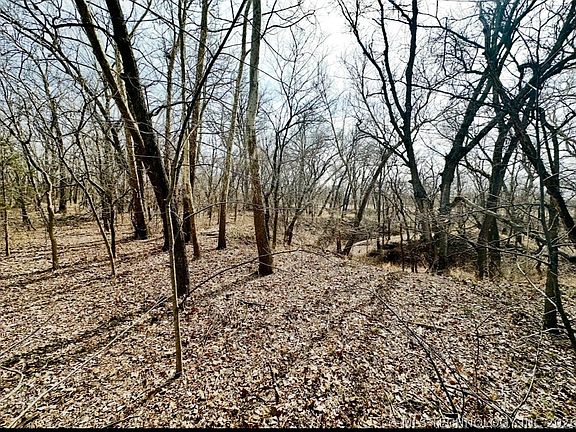 4th image of 44532 3550th Rd