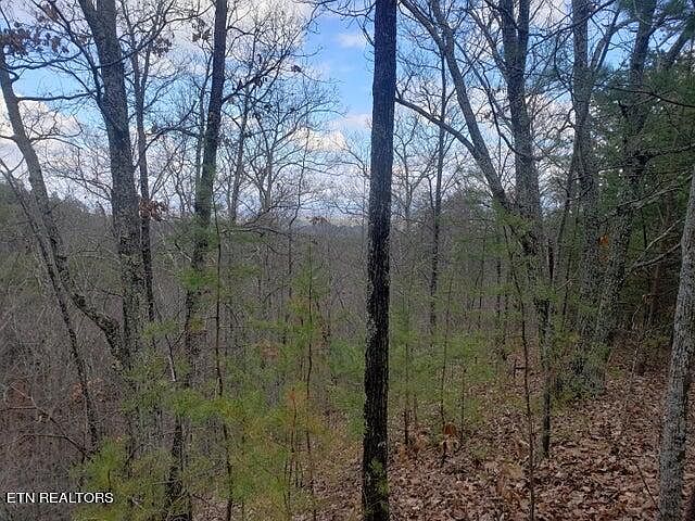 2nd image of Nichols Branch Way