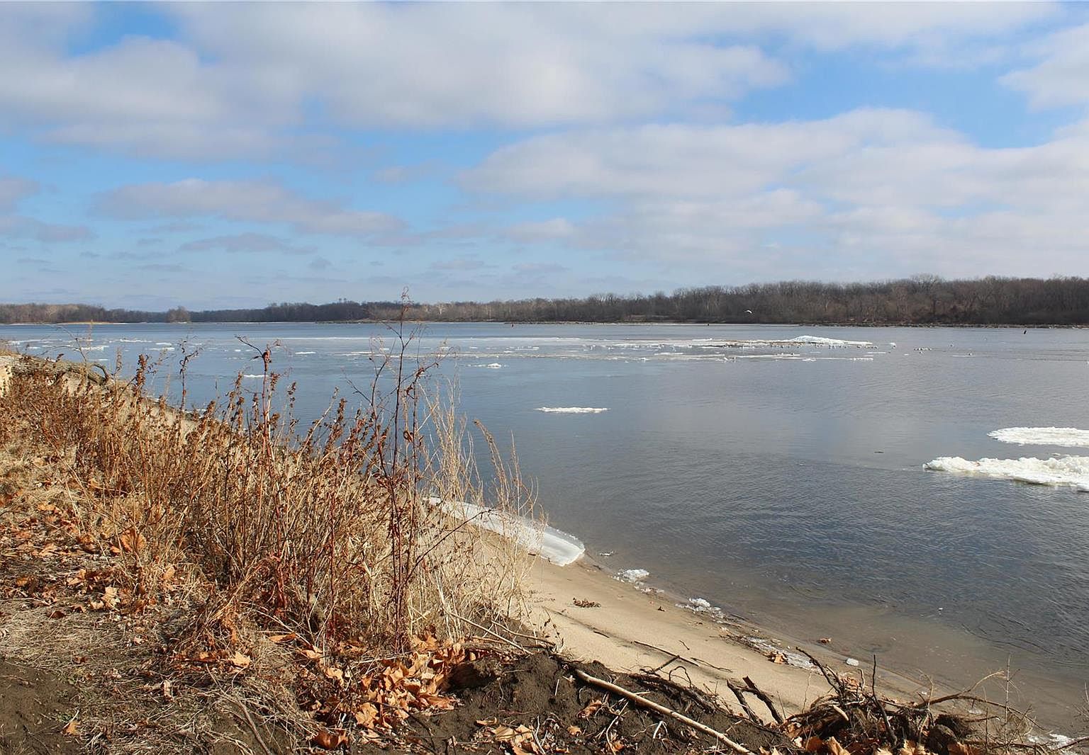 0 Cove Rd, Golden Eagle, IL 62036 Zillow