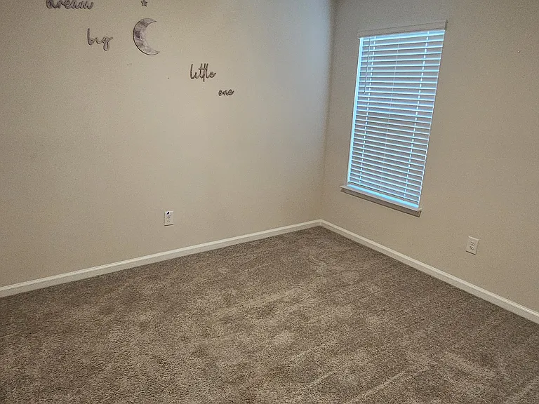 193 Country Grove Way — Photo 11