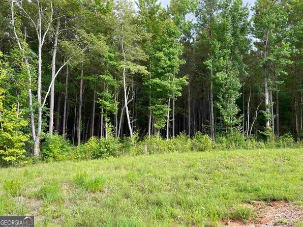 185 Grace Hope Dr, Brooks, GA 30205