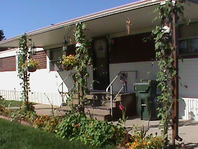 Ample Garden Spacing
