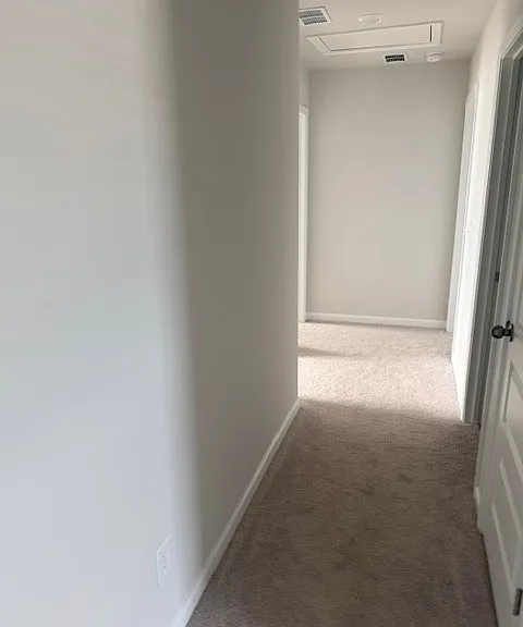 204 Pine Crest View Dr — Photo 18
