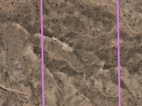 Mesa, Overton, NV 89040