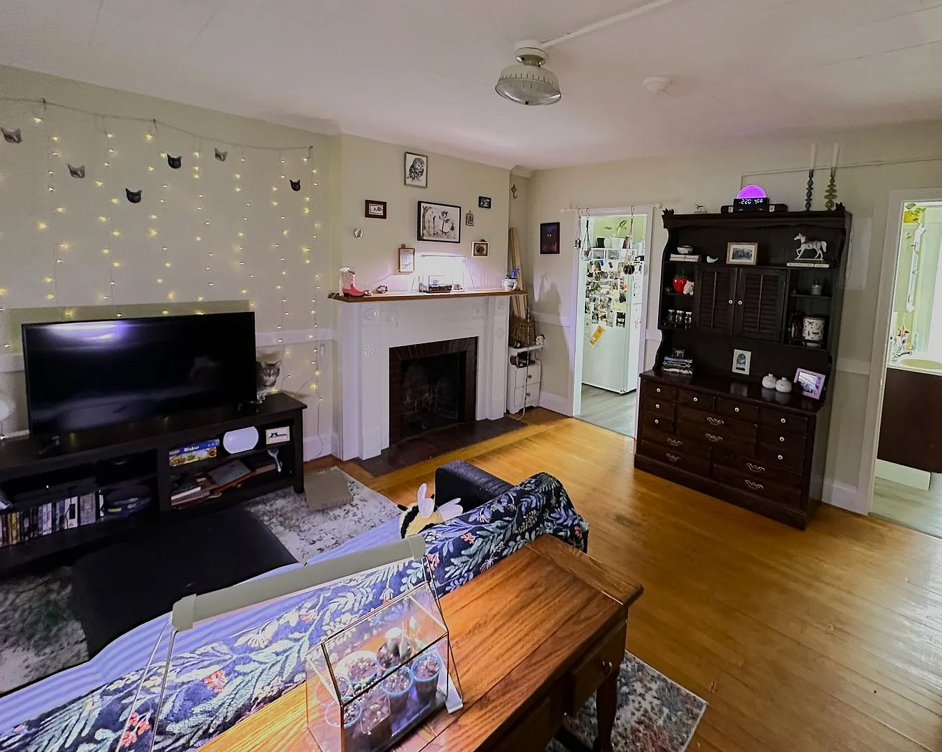 231 Maple Street — Photo 3