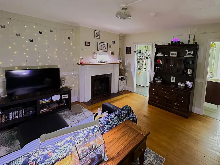 231 Maple Street — Photo 3