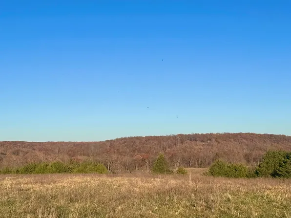 29 Panther Creek Road, Fordland, MO 65652
