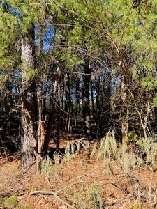 0 W North Corner Rd #A, Lancaster, SC, 29720