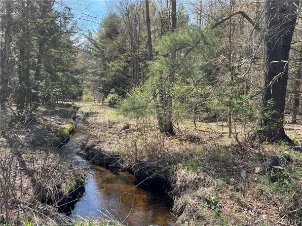 0 Pine Grove Rd, Glenfield, NY 13343