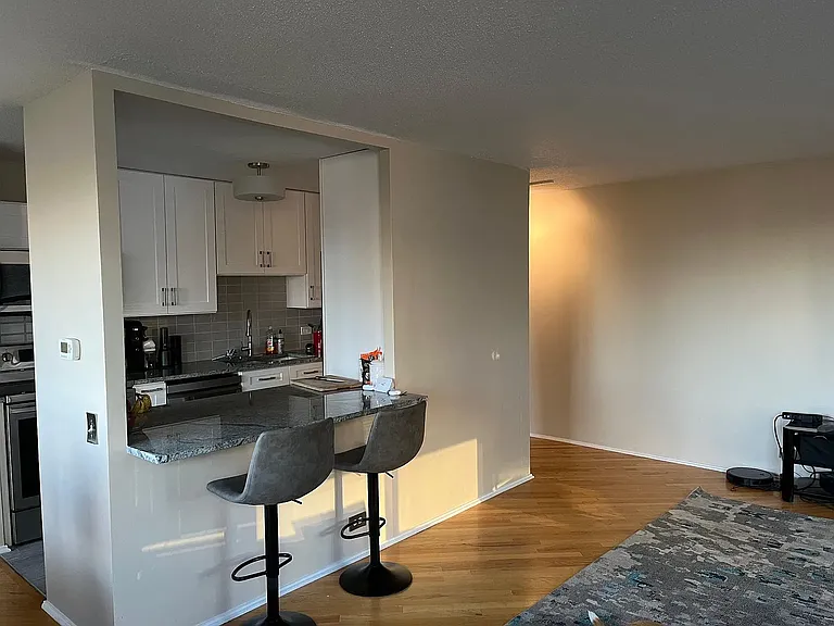 901 S Plymouth Ct #602 — Photo 5