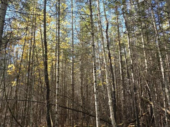 Red Wing Dr, Pointe Aux Pins, MI 49775
