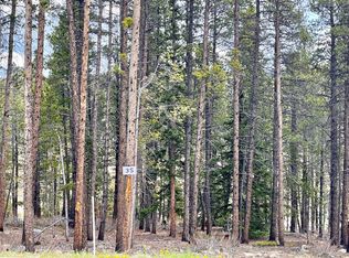 158 Aspen, Alma, CO 80420