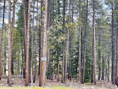 158 Aspen, Alma, CO, 80420