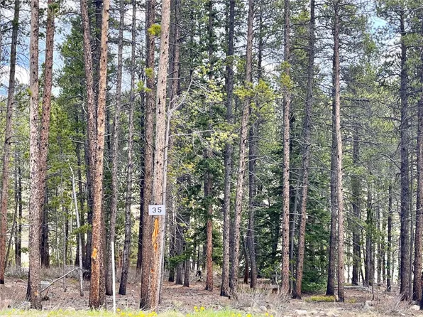 158 Aspen, Alma, CO 80420