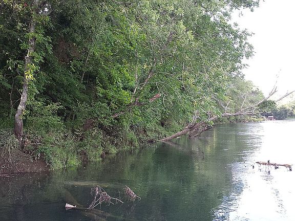 Shoreline looking north