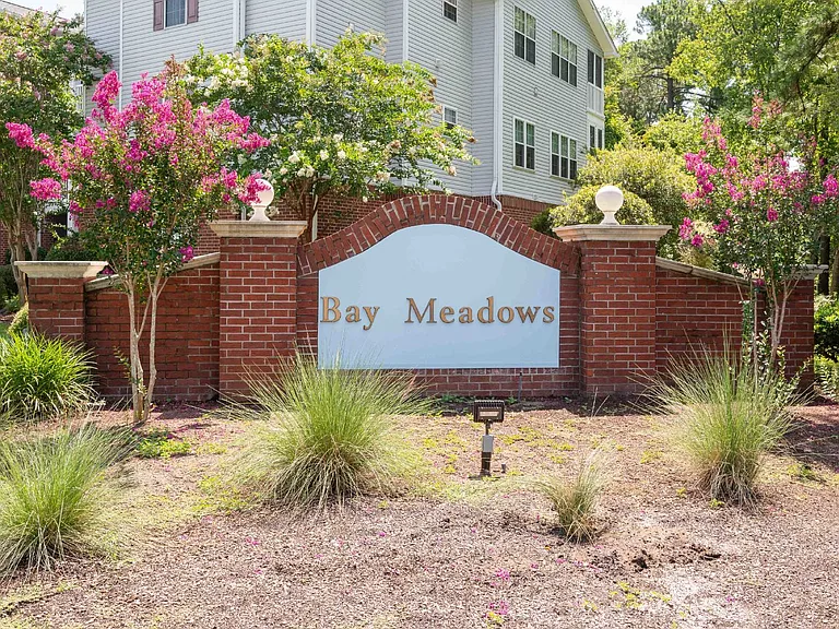 4850 Meadowsweet Dr #1709 — Photo 24